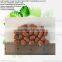 Growing Media Lightweight expanded Pebbles Clay for aquaponic system