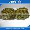 coil nails factory in China