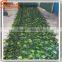 Artificial turf foliage green plastic artificial turf artificial fence