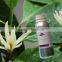 C10H18O Michelia Flower Oil(Magnolia Flower Oil)pure Essential Oil
