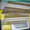 China manufacturer high quality ISO standard 21degree plastic strip nails