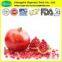 100%Natural ellagic acid 40% pomegranate bark extract powder