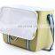 Promotional fruits food cans ice cooler bag portable beer can cooler