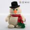 Dongguan ICTI Audit factory making snowman mascot costume