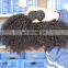 2017 hot sale afro curly brazilian virgin hair human hair weft