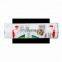 Small 1kg disposable empty gas cylinder for filling R290 gas in air conditioner