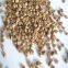 High quality Walnut shell sand / crushed walnut shell 10# 20# in abrasive