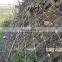 Slope Protection Net / Rockfall Protection System