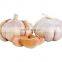 new crop Chinese fresh frozen garlic with reliable price