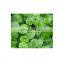 SCIYU Supply 100% Natural Cosmetic Grade organic gotu kola powder