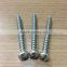 Factory supply self-tapping screw, self tapping screw