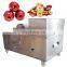 Automatic Date, jujube,olive, plums slicing slicer cutter cutting Machine
