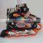 2015 New Speed Roller Skate Shoes LK-1902
