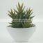 Synthetic artificial succulent plant, simulational succulent plant for wholesale