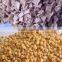 Full automatic Textured Vegetarian Soya Beans Protein Process Line