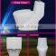 Cheap steam room Washdwon S-Trap water closet one piece Toilet