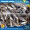Purse seine 15ppk Sardine for Bait on sale