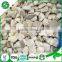 2016 frozen mushroom and frozen fresh oyster mushroom