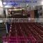 pvc roofing sheet extruder machine