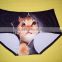 Women's One Piece Seamless Panties 3D Cat Pictures Print
