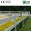 High UV Protection 100% Virgin Vinyl Horse Fence