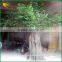 fake plant for decoration artificial banyan tree for sale