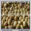 Pop Commercial Touch Screen Machine For Baking Delimanjoo Cake