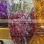 Temperate Flower Wedding Orchid For Sale With high quality