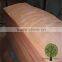 veneer sheets okoume veneer wood veneer sheet