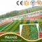quality green football ground artificial turf grass