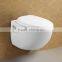 Wall Mounted Ceramic Women WC Toilet