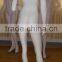 female headless display mannequin