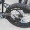 fat tire electric mountain bike 36V/48V (HJ-M21)