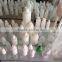 blow molding machine hpde bottle