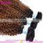 8A grade kinky curly brazilian virgin hair weave 2016 hot sale virgin brazilian kinky curly hair