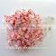 2015 chrsitmas decoration santa claus fiber optic string light