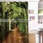 Photo Printed Trees Shower Curtain