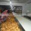 china new ginger for export