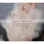 wool waste 19.5-34mic 40mm white and brown price 0.45-7.00/kg