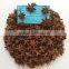 HIGH QUALITY AUTUMN STAR ANISSED