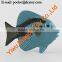 Fish plastic toy doll