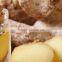GINGER GRASS OIL,Good Quality Ginger Grass Oil