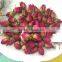 Flower Buds Tea Rose Pink Rose Flower Tea
