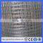 Supplier Price used in Malaysia 1*1'' Hot dipped Galvanized Welded Wire Mesh(Guangzhou Factory)
