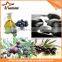 Best price cold press olive oil machine olive oil cold press machine machine make olive oil