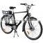 NEW Electric Bicycle with 250W-500W Geared motor(EL02A)