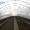 PE film greenhouse