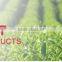 High quality Green tea bags material Green Tea Fannings, Grade 3(Article No. 9380)