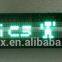 VFD Module(Vacuum Fluorescent Display Module)