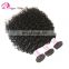 Alibaba Freya hair wholesale beauty supply distributor natural curly hair extensions